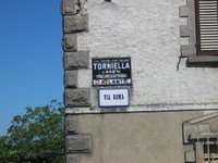 Torniella